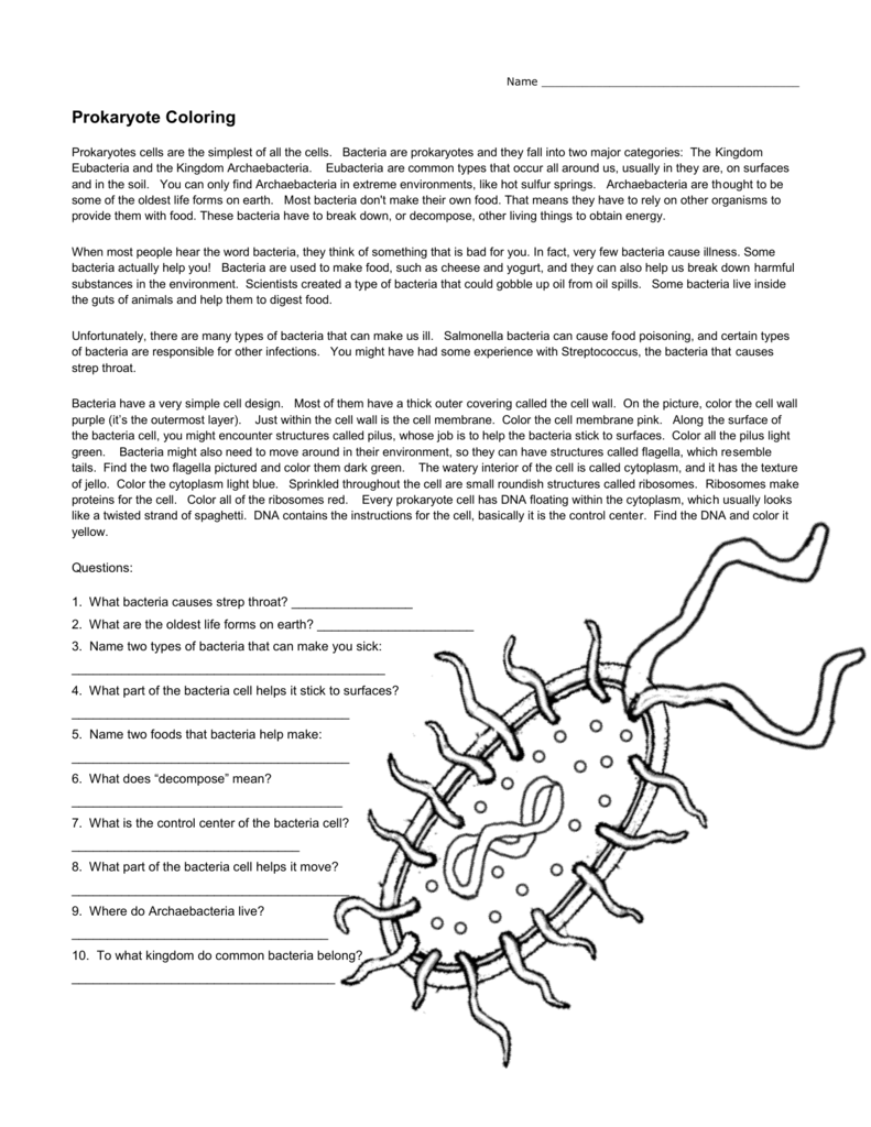 Prokaryote Coloring Worksheet - Bluegreenish