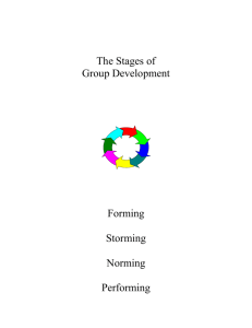 The Stages of Group Development: The Form/Storm