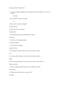 Internet questions for Primary 2011