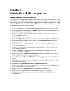 Chapter 6: Metabolism of Microorganisms