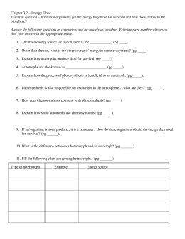 Organizing Trophic Levels Activity