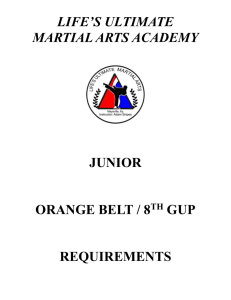 Orange Belt Requirements - Life's Ultimate Martial Arts Academy