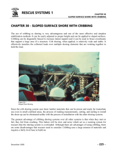 chapter 30 - sloped surface shore with cribbing