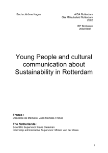 Chapter Three: Cultural projects and organizations for Youth Culture