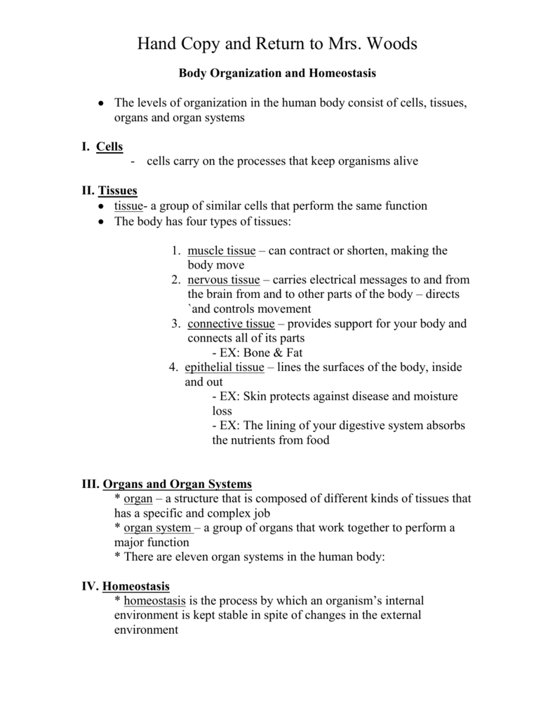 levels-of-organization-worksheet-answers