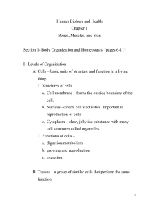 Section 1- Body Organization and Homeostasis (pages 6-11)