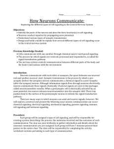 How_Neurons_Communicate_Handout_adv