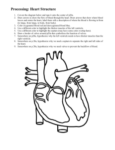 Processing: Heart Structure Cut out the diagram below and tape it