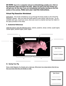Virtual Pig Dissection Worksheet