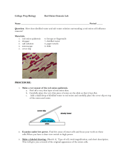 onion lab osmosis cells water solution salt studylib