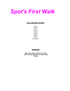 Book Title: Spot's First Walk