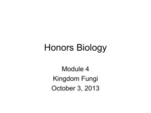 Honors Biology Module 4 Kingdom Fungi
