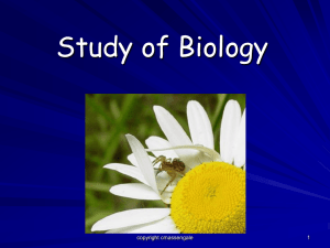 1-3 Studying Life - Biology Junction