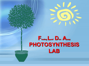 Photosynthesis FLDA Experiment and Pre