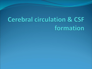 Cerebral circulation & CSF formation