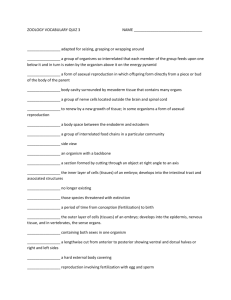 zoology vocabulary quiz 3