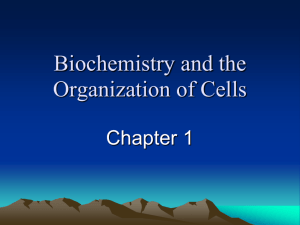 Biochemistry and the Organization of Cells-chap 1