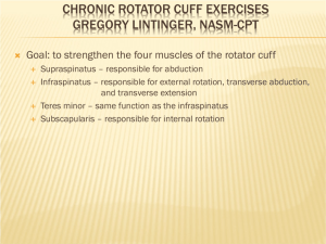Chronic Rotator Cuff Exercises Gregory Lintinger, NASM-CPT