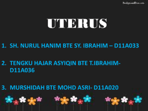 uterus & fallopian tubes