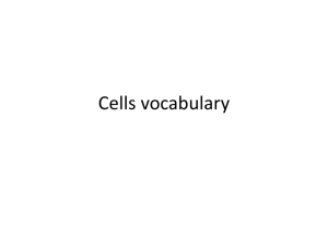 Cells vocabulary