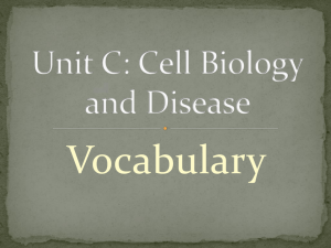 Unit C Vocabulary Powerpoint
