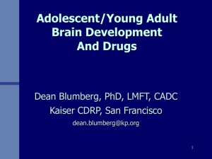 adolescent brain development and drugs