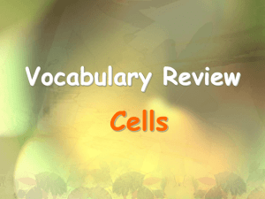 Cell Vocabulary Review