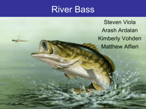 River Bass - The Hudson River Valley Institute