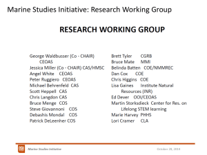Research Working Group (Powerpoint)