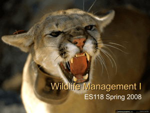 Mar. 3rd - Wildlife Management I