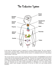 10. Endocrine System