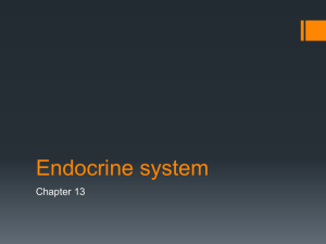 Endocrine system - Napa Valley College