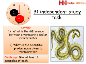 B1 independent learning task