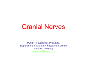 Lecture 11: Cranial Nerves