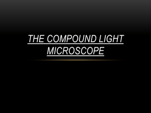 THE COMPOUND LIGHT MICROSCOPE