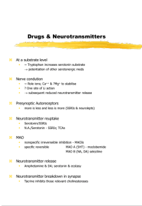 Drugs & Neurotransmitters