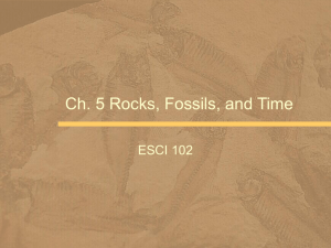 Rocks, fossils, and time