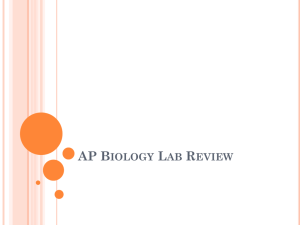 AP Biology Lab Review_2013