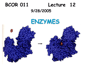 12 Enzymes 9 28 05
