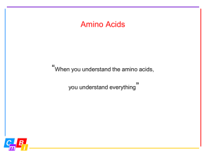 The amino acids, continued