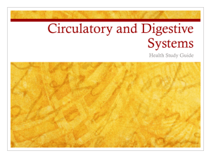Circulatory and Digestive Systems