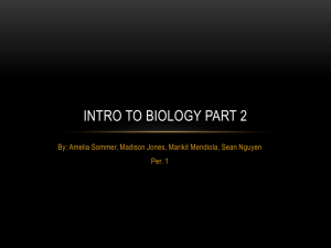 Intro to biology part 2
