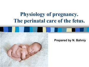 Anatomy & Physiology of Pregnancy