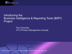Introducing the BIRT Project