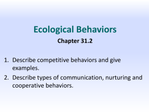 Competitive Behavior