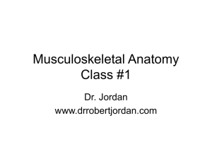 Musculoskeletal Anatomy Class #1