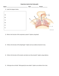 Respiratory System Quiz Study guide Name: Date: ______ Period