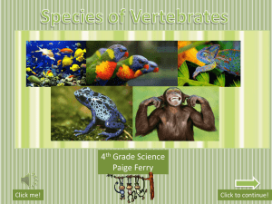 Species of Vertebrates