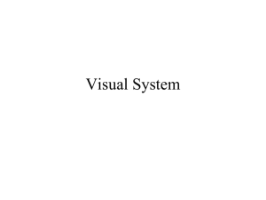 Visual7