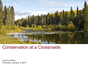 Conservation_Crossroads